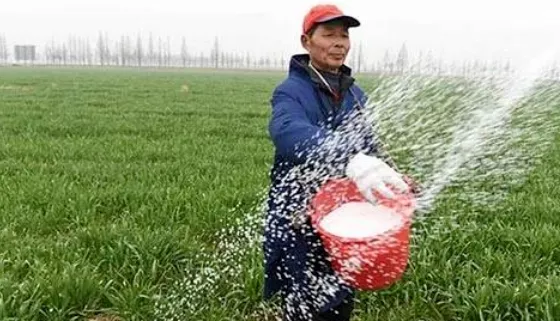 科普时间 | 买100块钱的肥料，为何只有20块钱的肥效