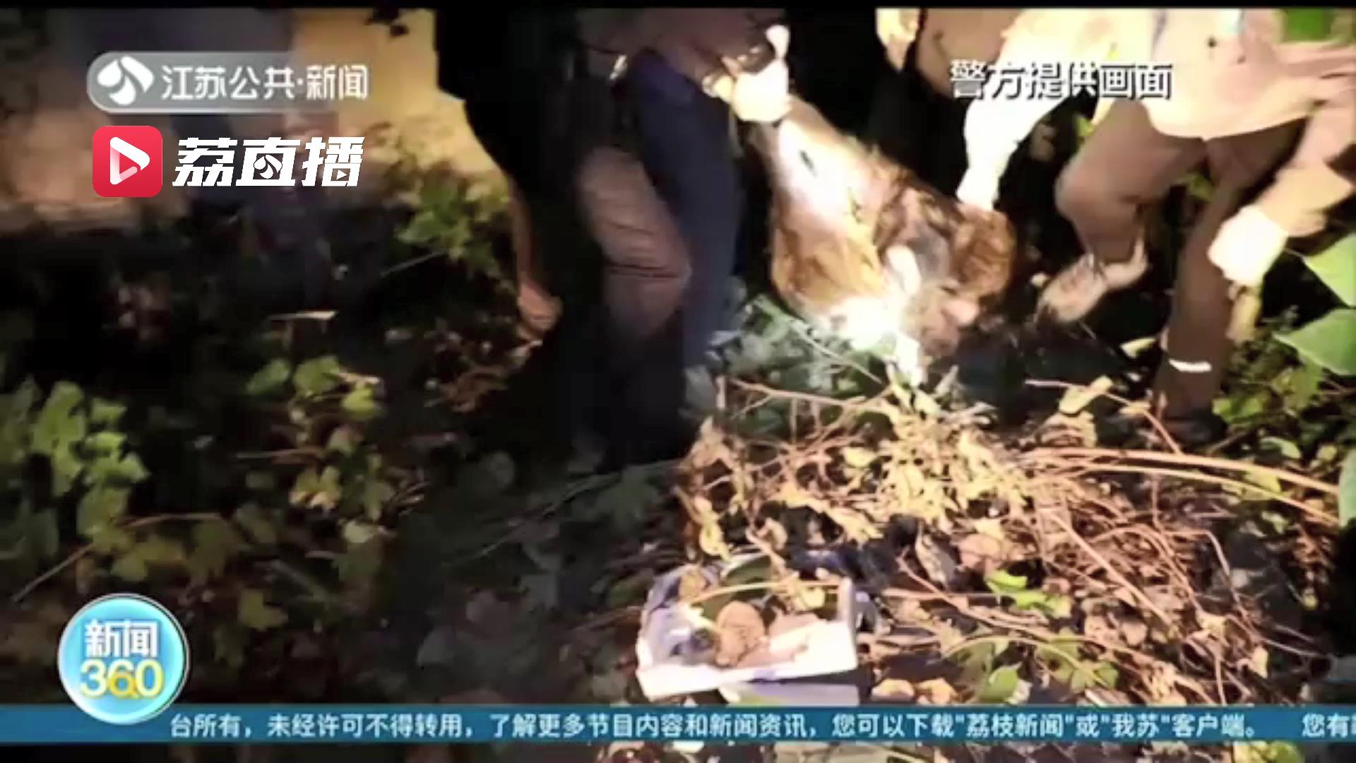 野猪闯进南京城区一奶茶店 警方四小时&ldquo;缉拿归案&rdquo;