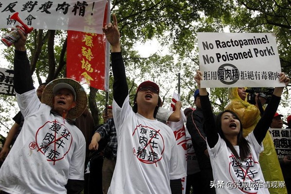 台灣民怨沸騰？ 島內�公投�遍地烽火狼煙蔡英文當局陷入困境