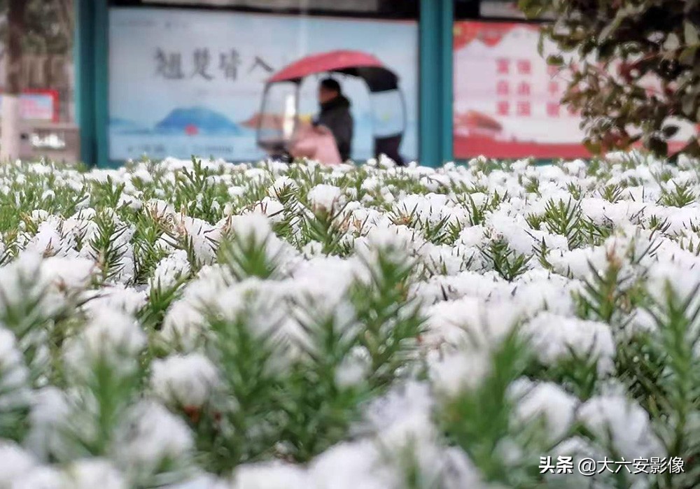 6 how: Heavy snow flies violently greet New Year, the Xue Jingtai in cameraman camera lens is beautiful