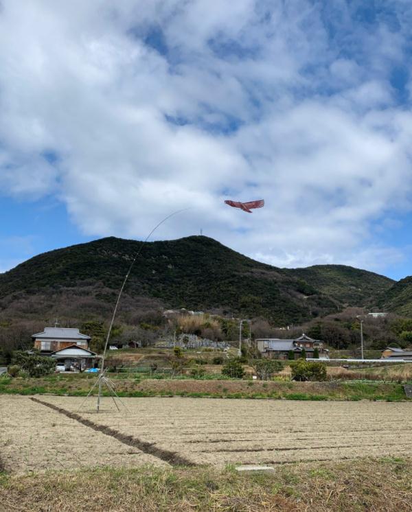 农村大爷果园鱼线挂老鹰试验百次，据说防鸟很管用，没风怎么办？