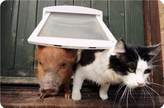 6个小故事，很短，却充满正能量-第5张图片-大千世界