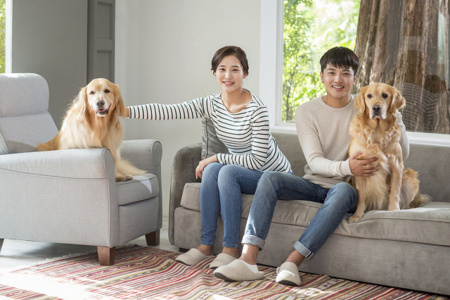 为什么要生孩子？74岁罗家英接受专访，遗憾无儿无女继承血统