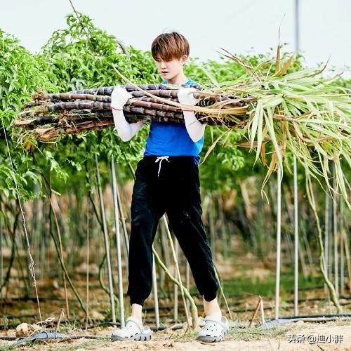 任嘉伦在《向往》下地干活时，谁看到他穿的鞋