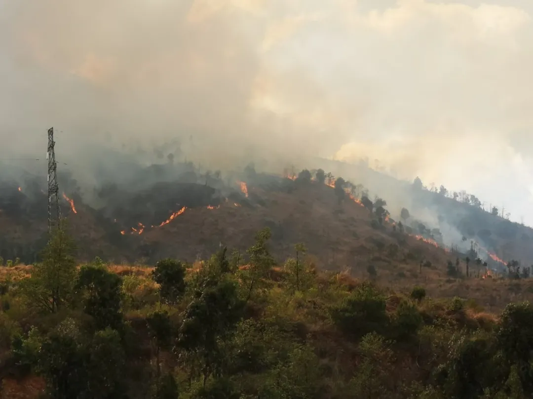 突发森林大火，600余名官兵火速增援