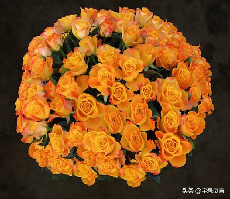一段很现实的话适合发朋友圈|抖音文案图片
