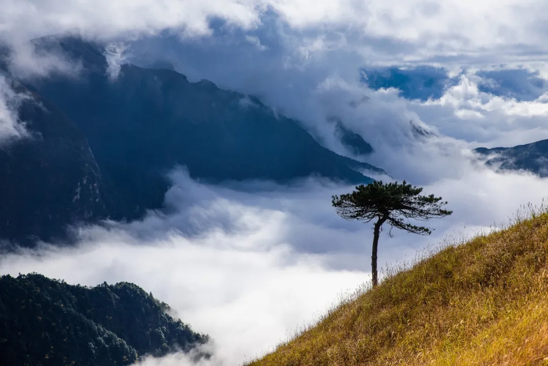 Recommended tourist destinations in late October: go to meet the most romantic autumn scenery!  (under)