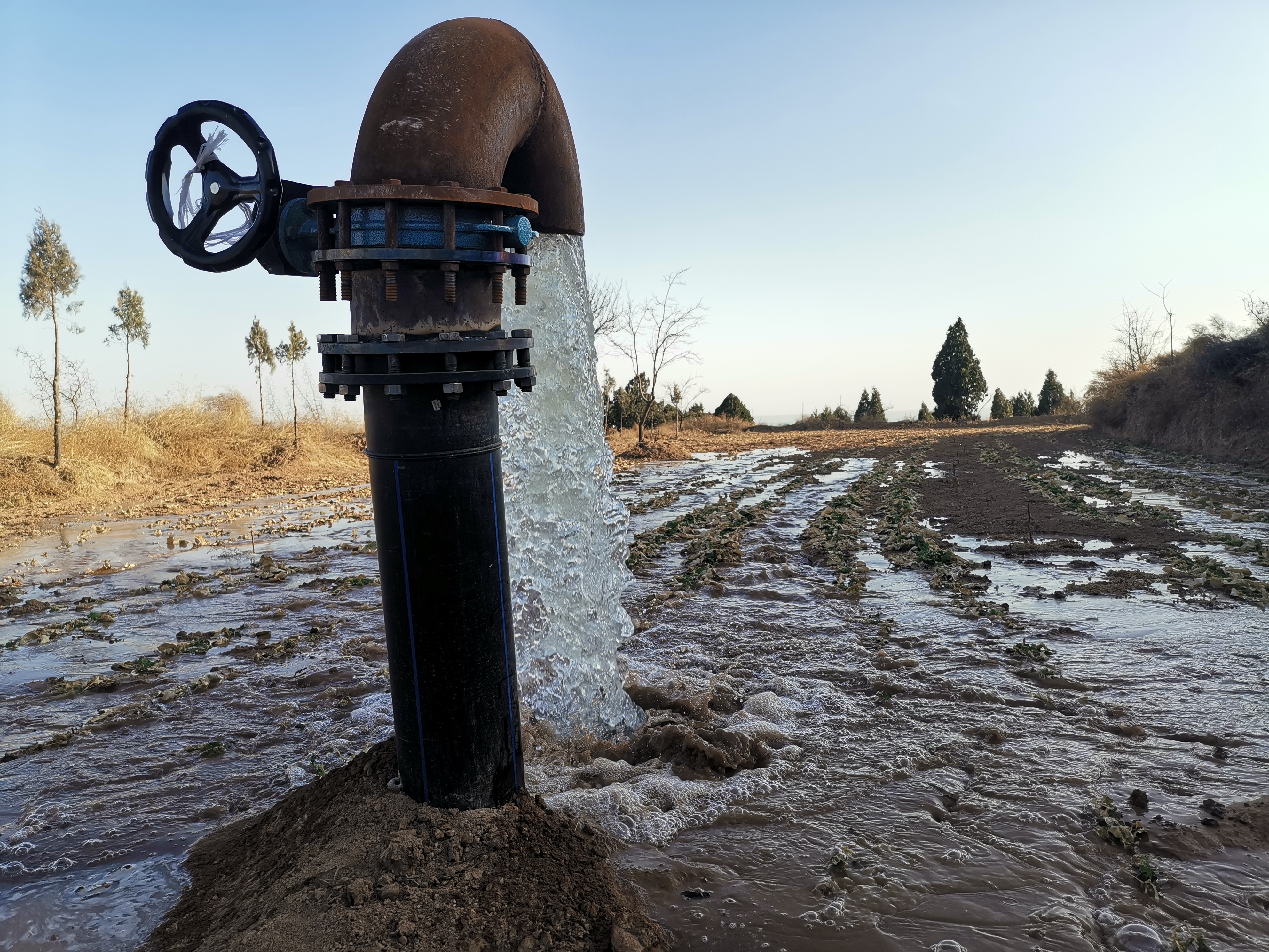 迎新春庄里试验区中山村产业扶贫引水灌溉工程出水了