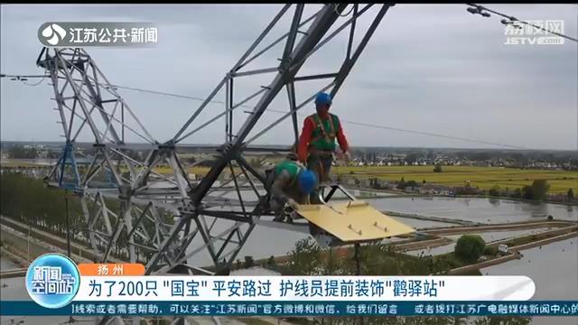 为东方白鹳平安路过不引起跳闸 扬州供电部门护线护鸟措施有一套