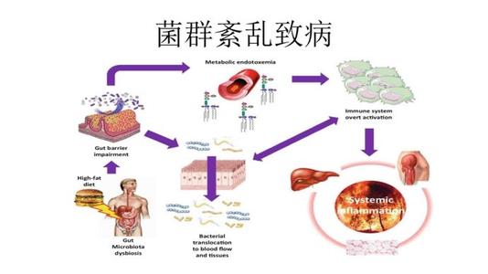 肠炎的症状是什么，该怎样治疗肠炎？