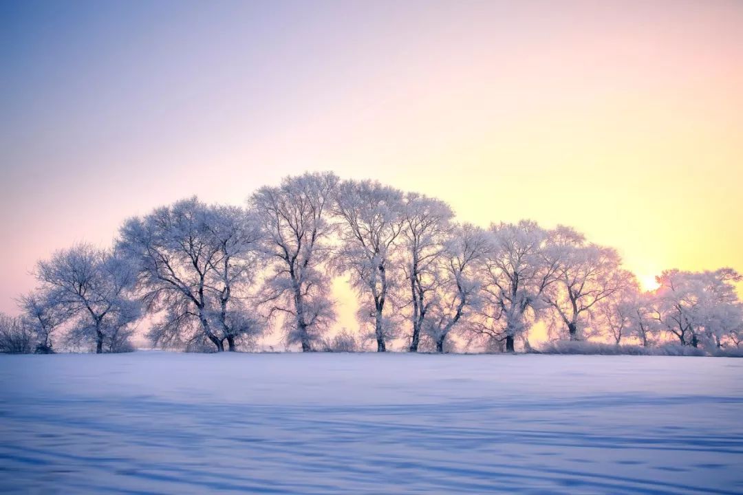 十首雪景诗词，最美的雪在诗词里-第1张图片-诗句网
