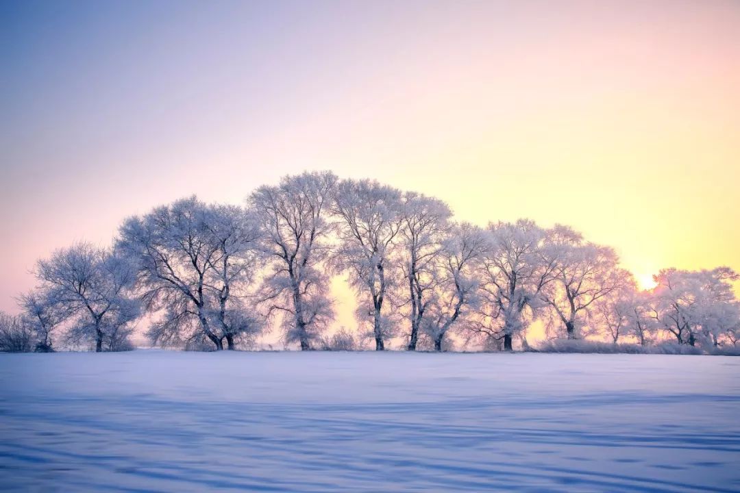 十首雪景诗词，最美的雪在诗词里