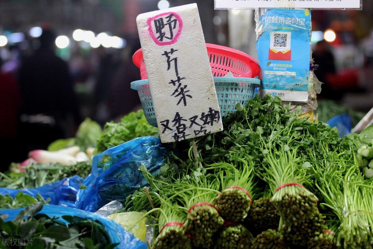 一个可以降血压神奇野菜 芹菜之水芹菜 野芹菜 一碗小汤 Mdeditor