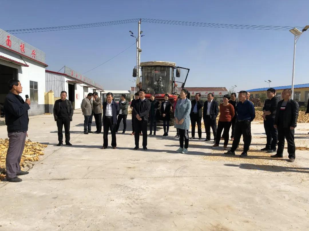 农民日报 | 因地制宜发展特色产业走稳致富路 —山东临沂市驻罗庄区乡村振兴服务2队助力帮扶村发展 农民日报 | 因地制宜发展特色产业走稳致富路 —山东临沂市驻罗庄区乡村振兴服务2队助力帮扶村发展
