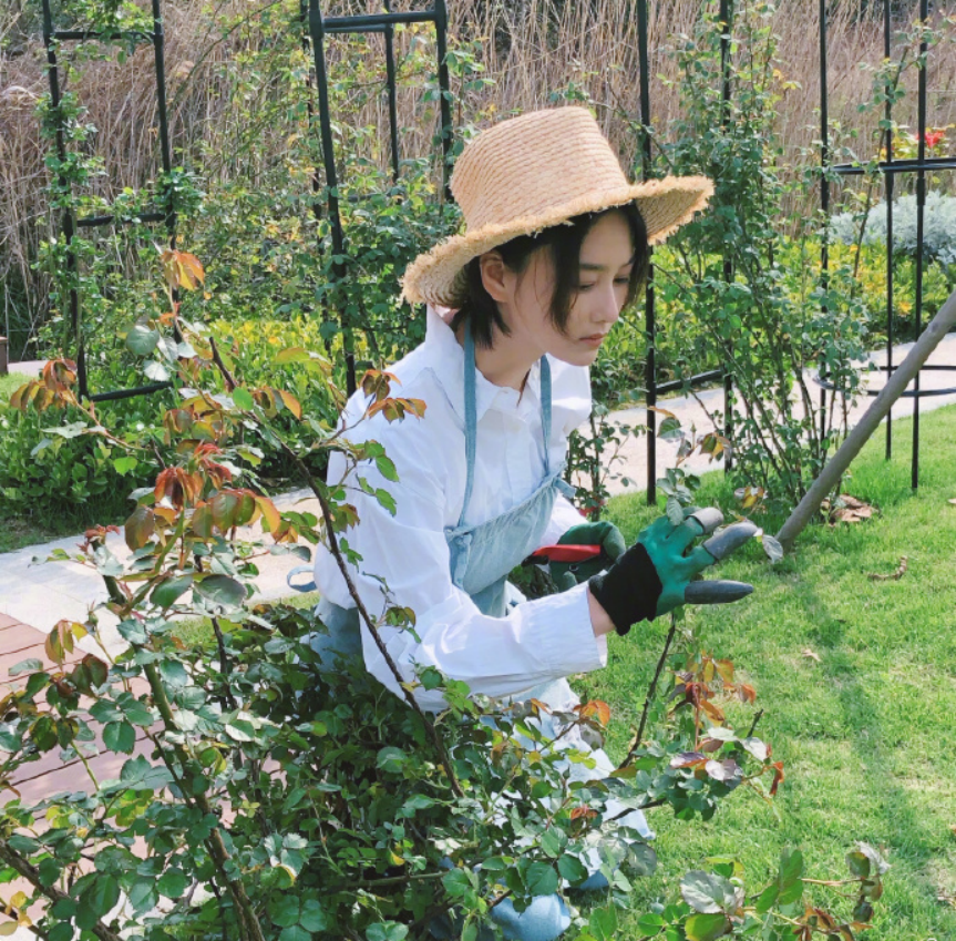 为何张馨予婚前婚后大变样？女人和谁在一起，