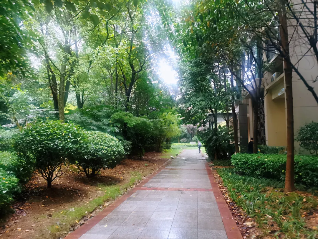 长沙市中心,这个5年后重启的楼盘,将成“宝藏”还是“咸鱼”?