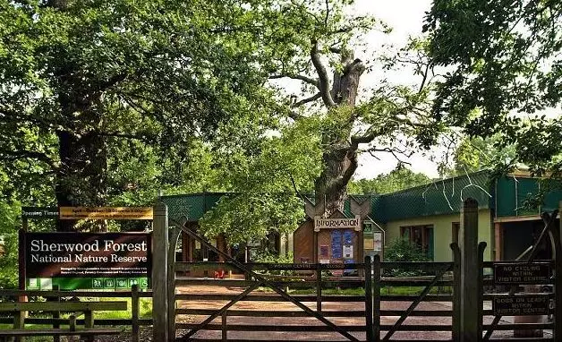 为你而写的唯美句子：带着一颗童心前行的人，才能时刻感受到幸福