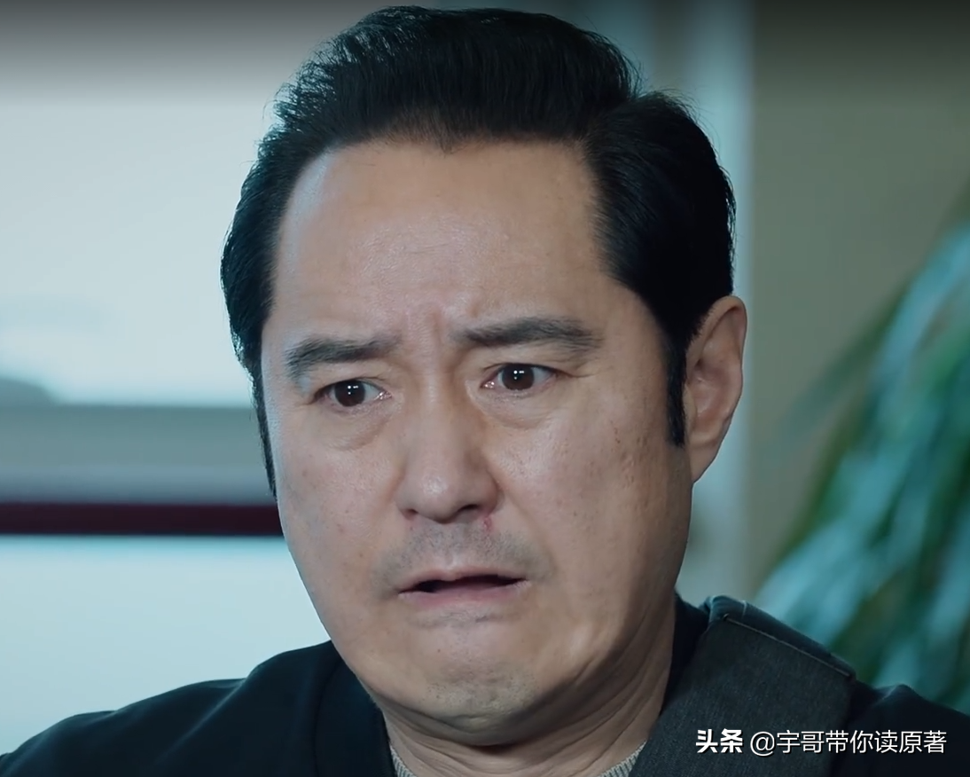 《巡回检察组》大结局：冼友文露馅，武强落网