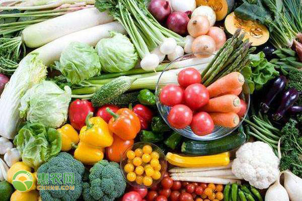 6月全国菜价上涨是怎么回事？后期蔬菜价格有何