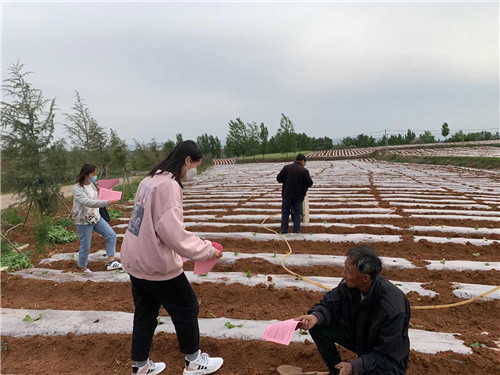 河南新安县委巡察办：创新方式助推村居巡察