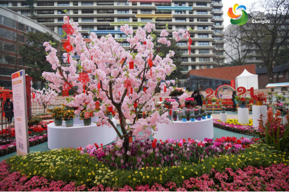 蓉城花肆——2021爱成都•迎大运公园城市年宵花节今日开市