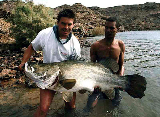 尼羅河鱸猖狂30年，吃絕200多種土著魚，在中國也有風險？