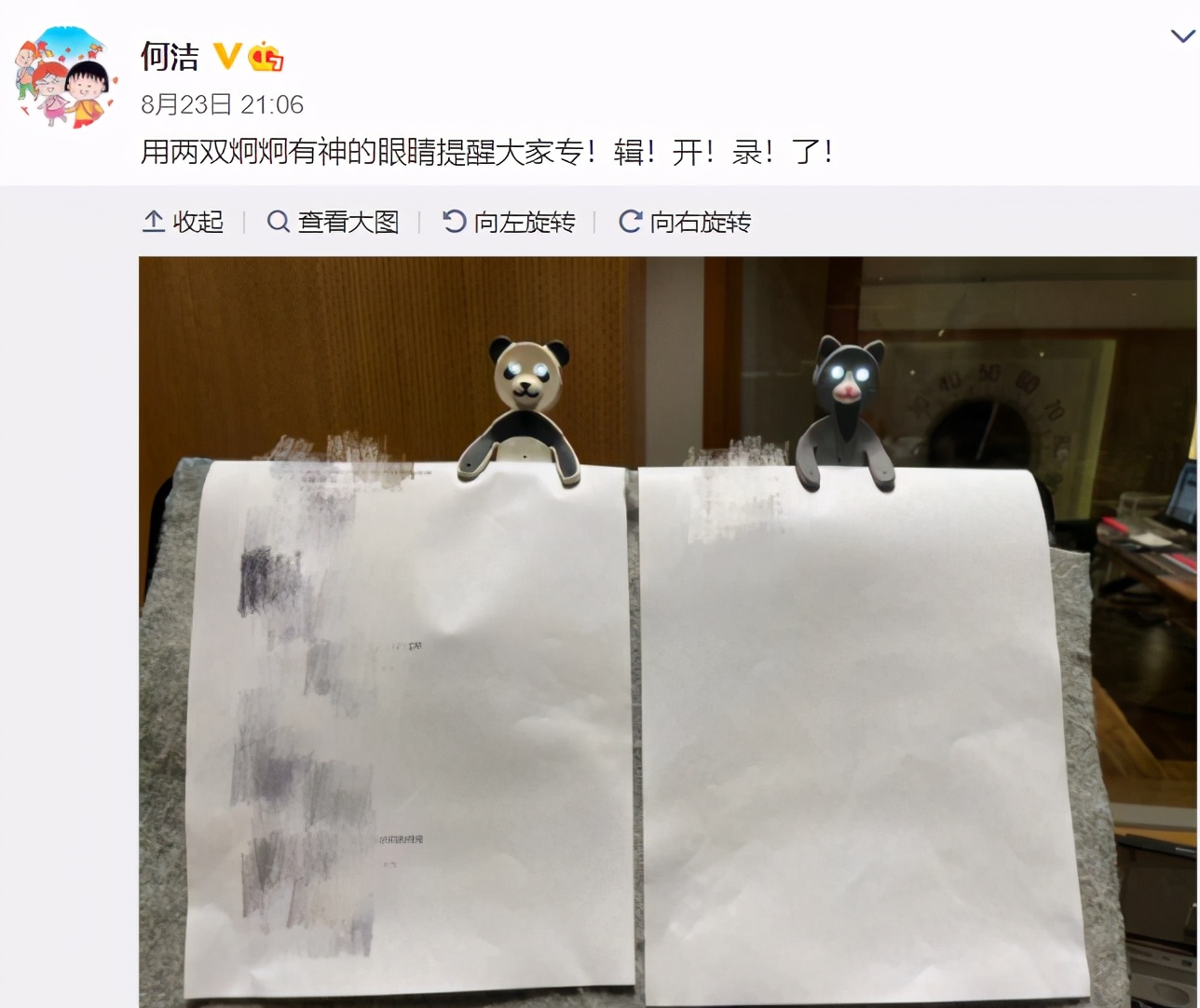 35岁何洁辟谣生4胎，买万元厨具做饭生活滋润，