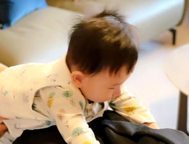 應采兒曬倆兒子有愛互動，半歲hoho爬到哥哥身上，側臉曝光了