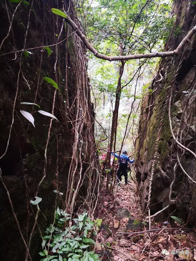 十八洞、迷魂谷、显胜门......雁荡险峰风光无限美!