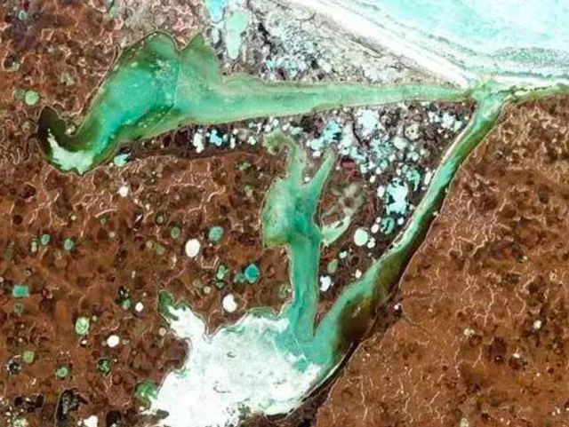 全球變暖！假如溫度上升6攝氏度 人類將會從地球上消失