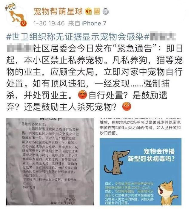 我们的家在哪里