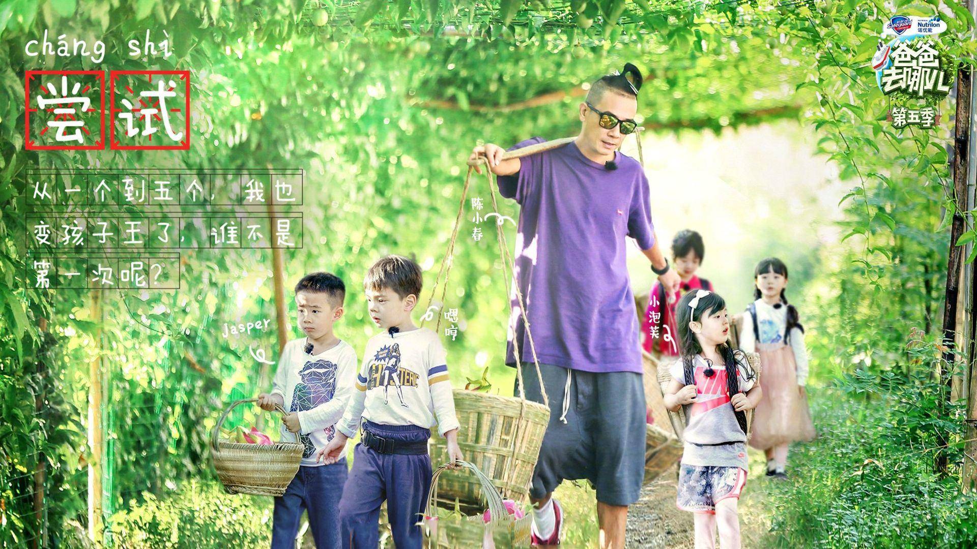 孩子不听话怎么办？巧用“综艺思维”，破解亲子关系困局