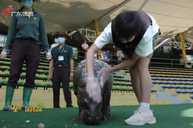 全红婵钓起9条鱼，打破园区纪录！何教练上电视：她该有个暑假