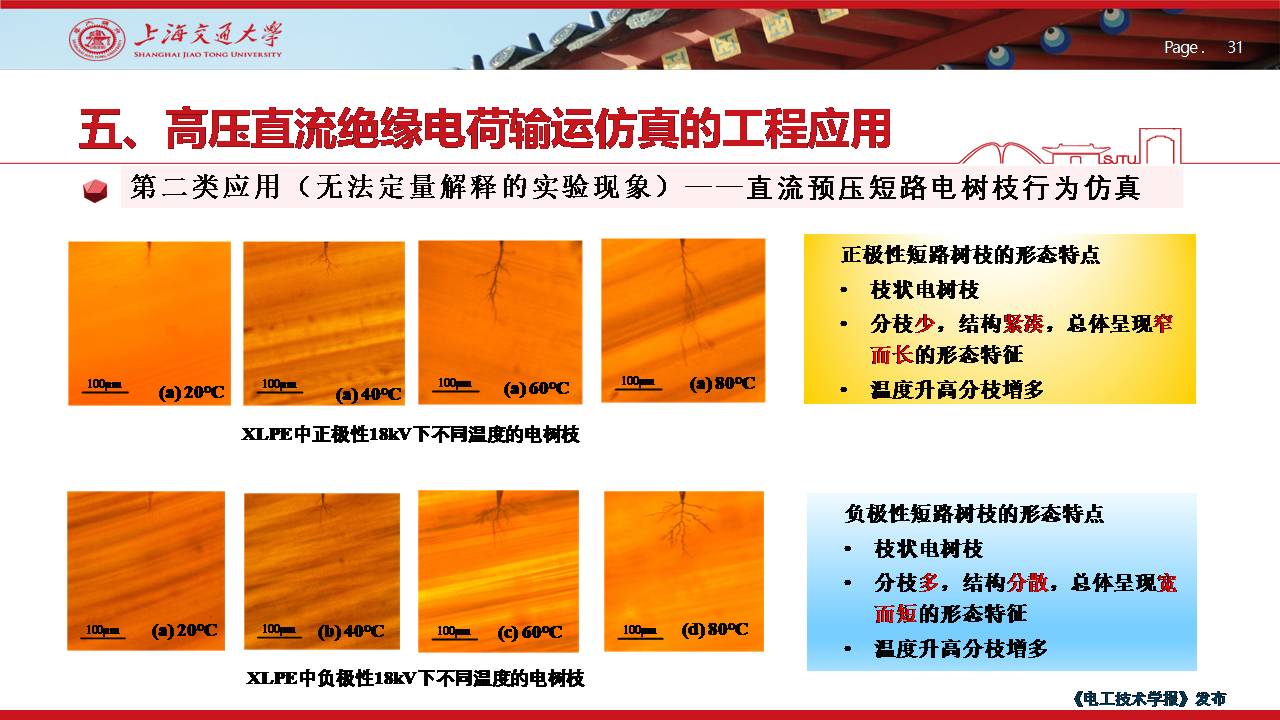 上海交大尹毅教授：聚合物绝缘高电场下电荷输运的数值仿真及应用