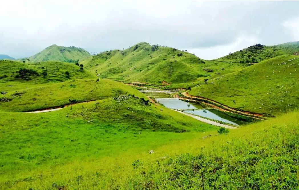 通透的阳光下,整个草场闪烁着梦幻的光泽,换上精致的复古裙,仿佛重回