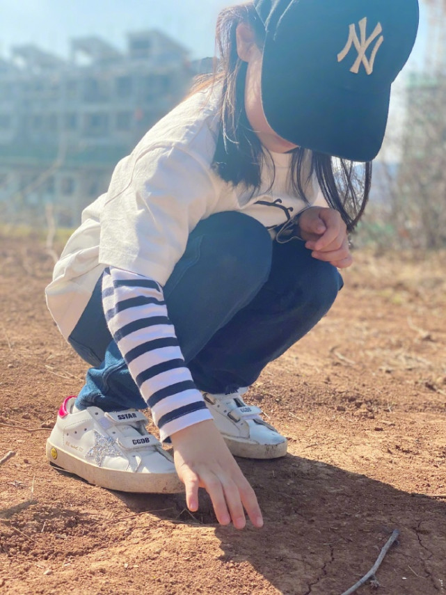 Dong Xuan Pure Brightness takes a daughter to plant tree, 4 years old of small dimple water the individual character that bury earth is independent, 