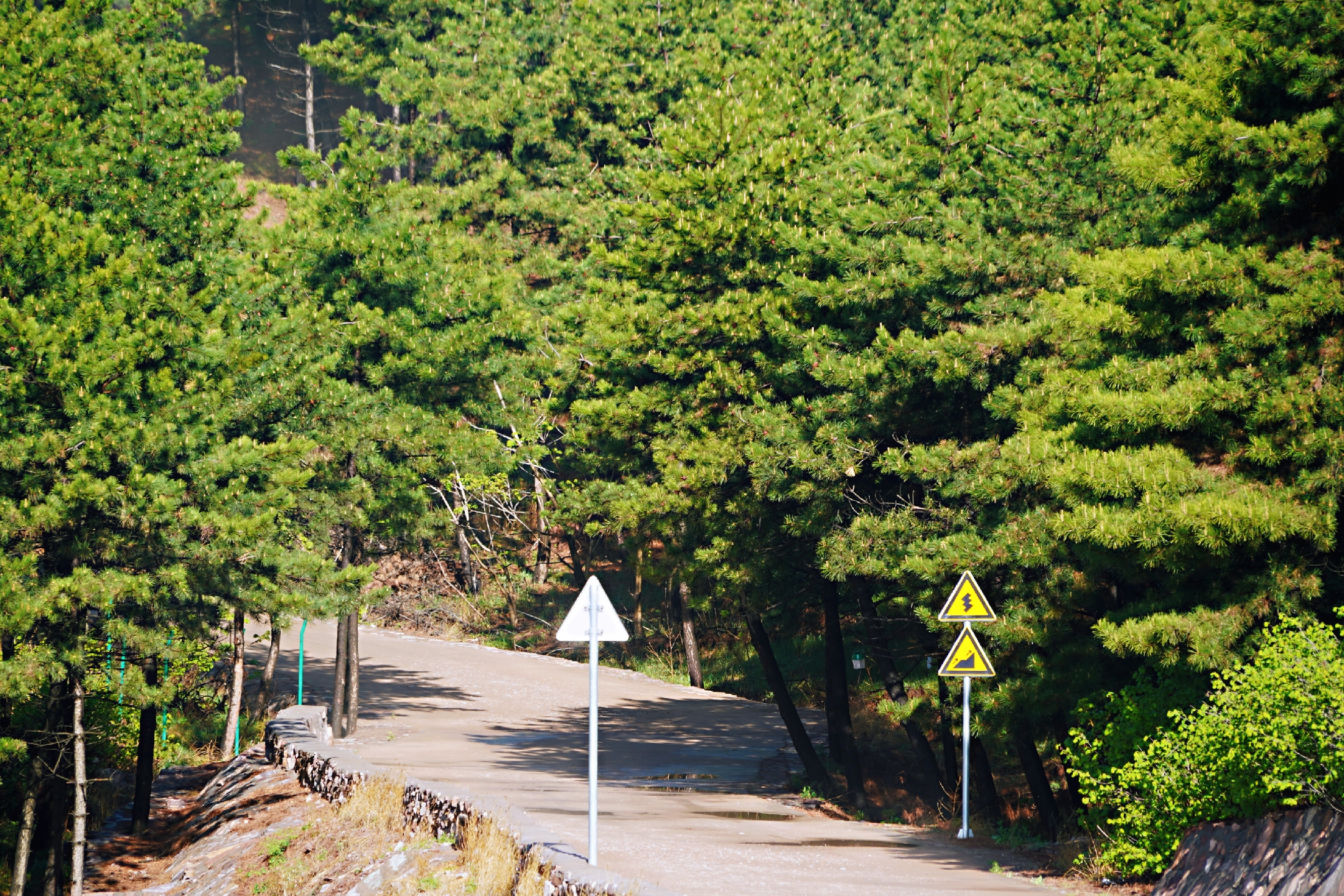 小长假还没计划？自驾太行深处周公山88道拐，云海日出，还免门票