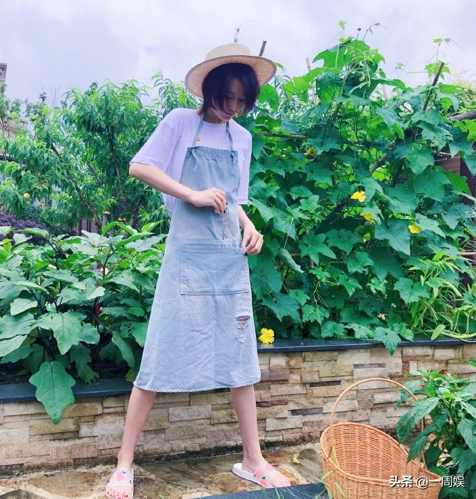 Zhang Xin grants to plant dish inside villa, go to the fields does farm work to exceed ground connection gas, the area arrives greatly can plant peach tree