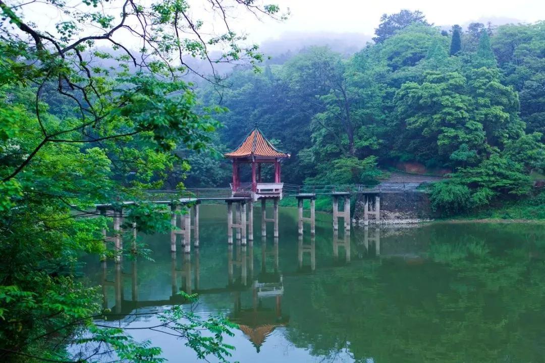 蒋经国与赣南的山水情