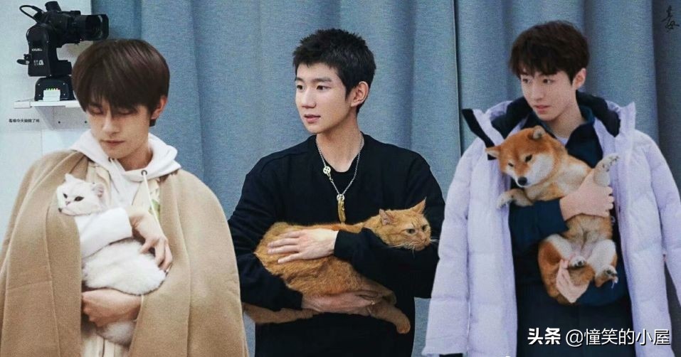 TFBOYS将有可能合体录制综艺？官方发出话题，粉