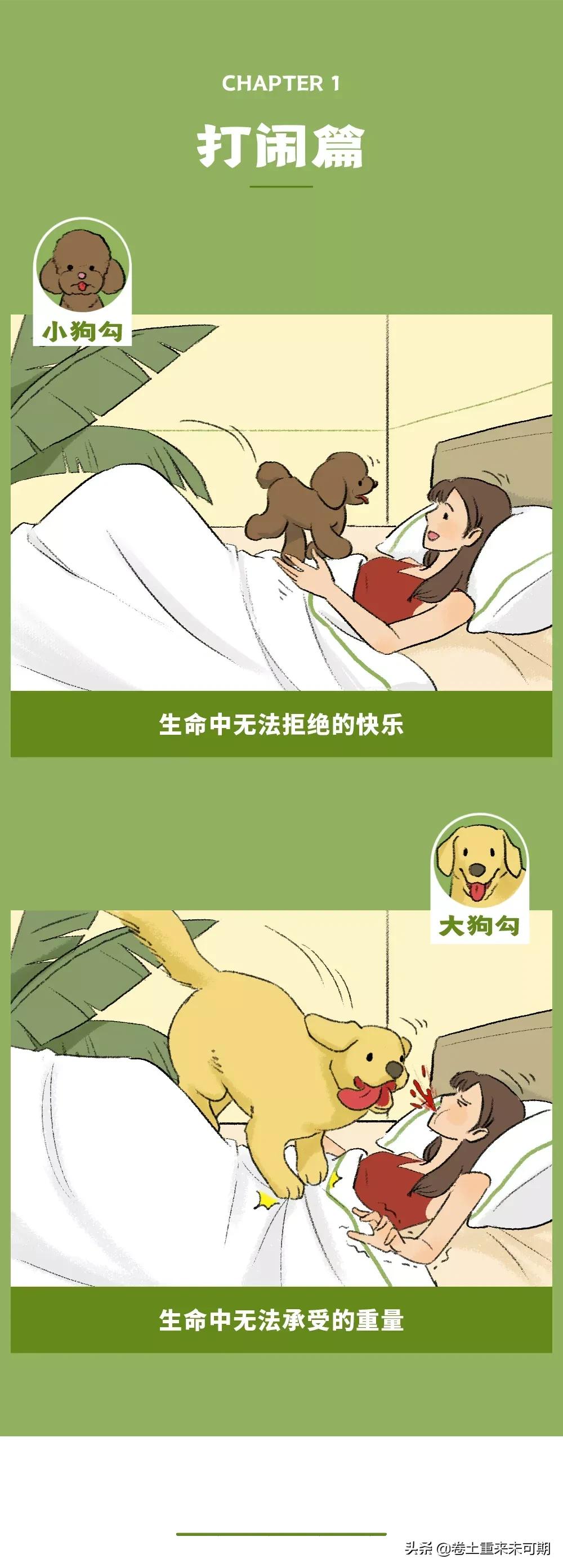 漫画：女生养大狗，对男朋友有什么坏处？