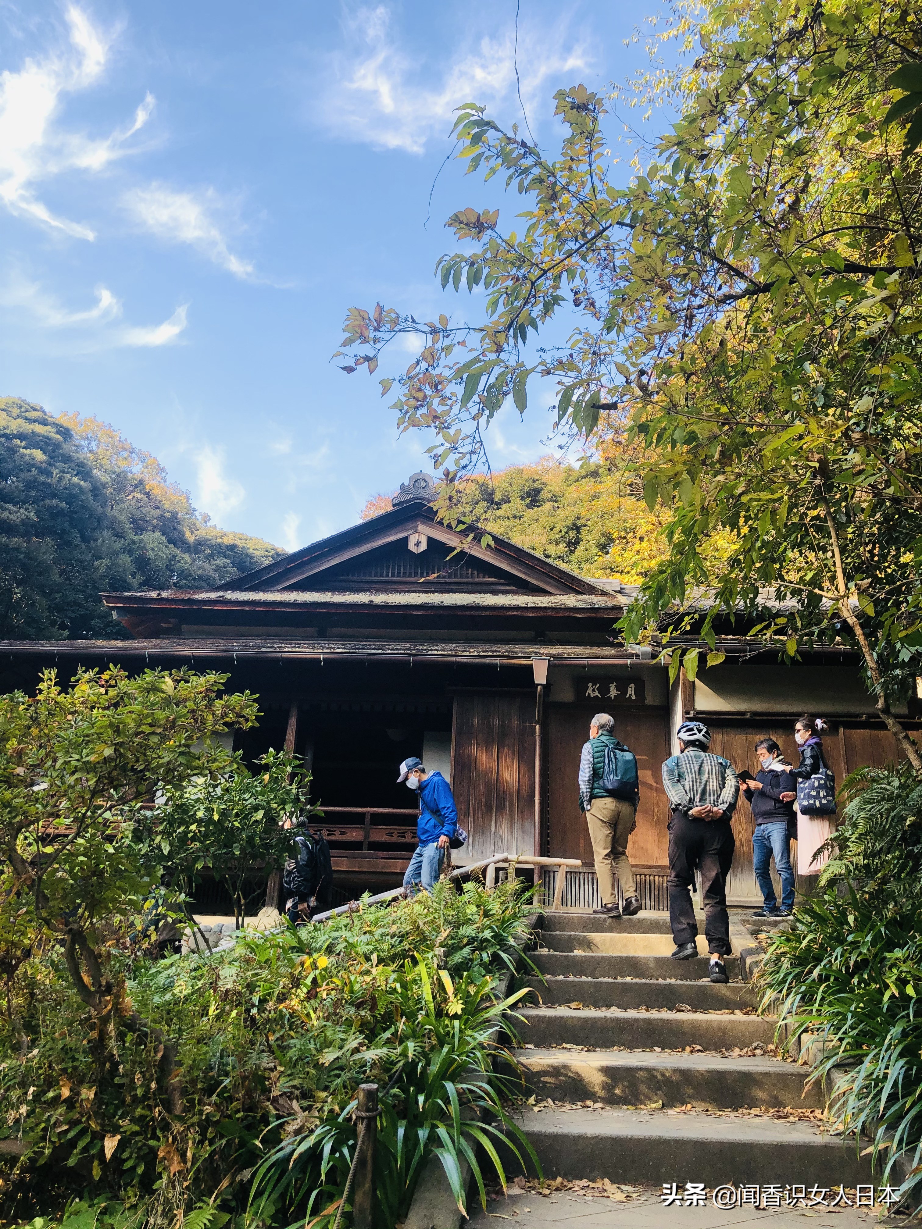 橫濱三溪園一代實業家打造的日式庭園 17座建築來自京都和鎌倉 中國熱點