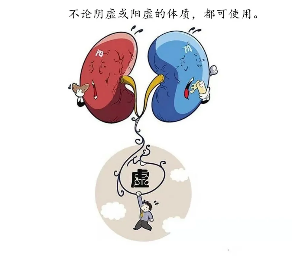 “红衣仙子”落凡尘,平补抗衰就属它——山茱萸