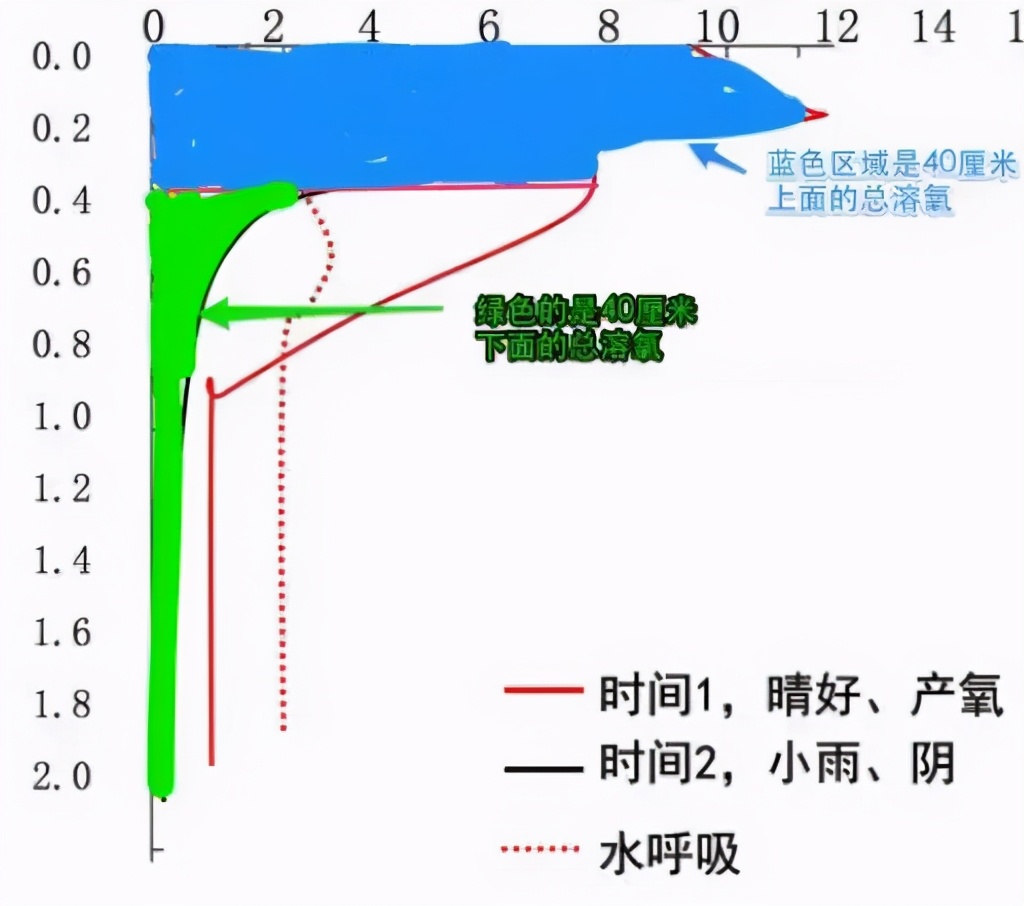都说要午间增氧，其实是错的？今天教你如何正确使用增氧机