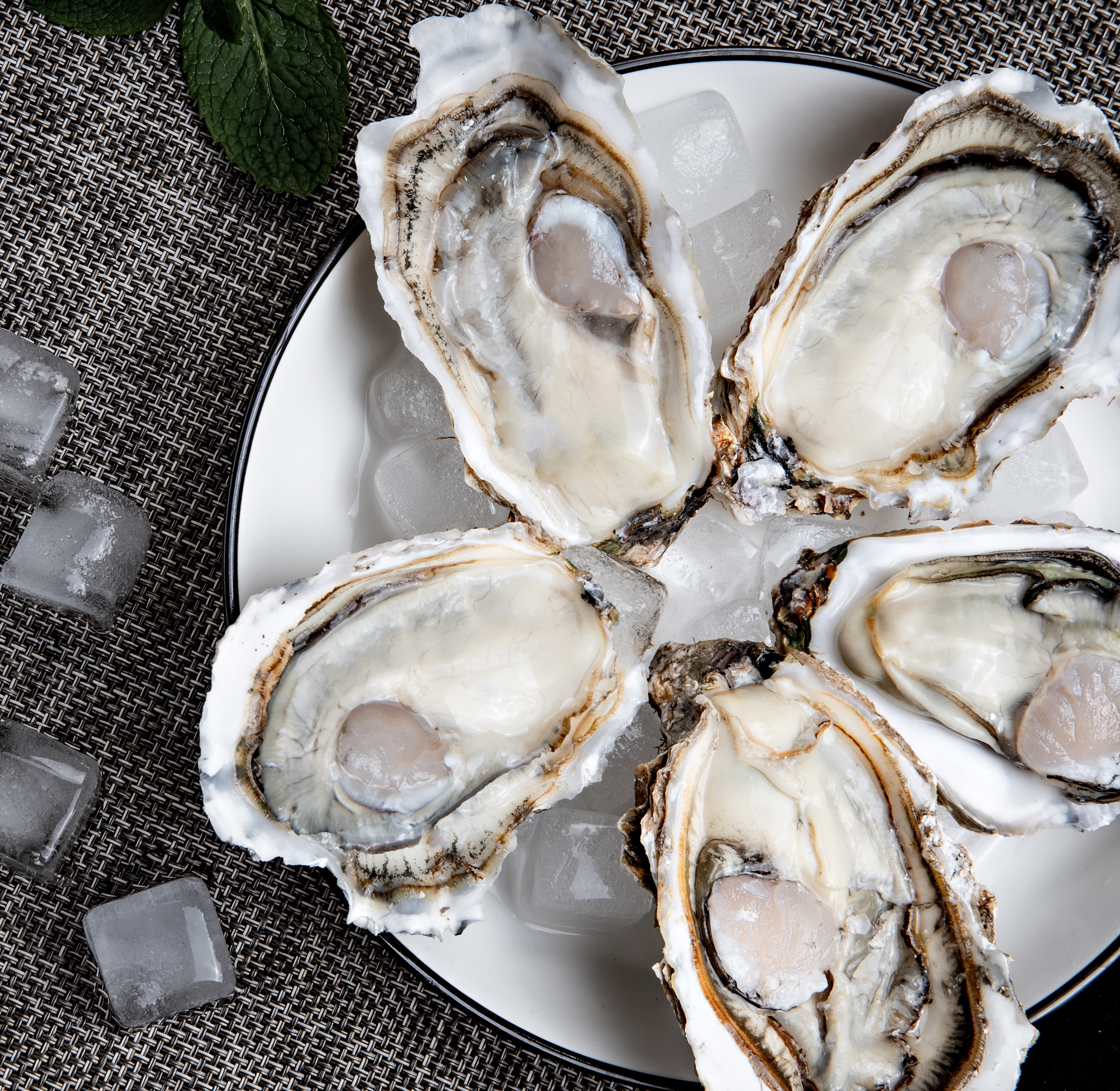 了解精品生蚝你只缺这份终极指南