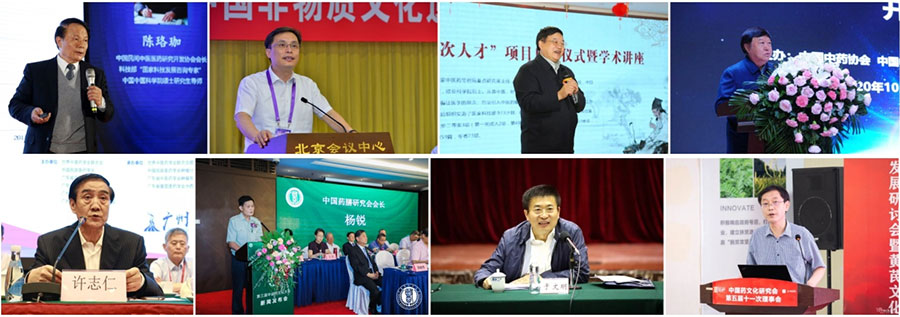 中医药专家谈“中医药文化大会”