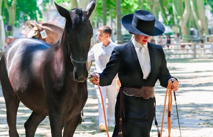 移民葡萄牙首选葡萄国际一条龙服务