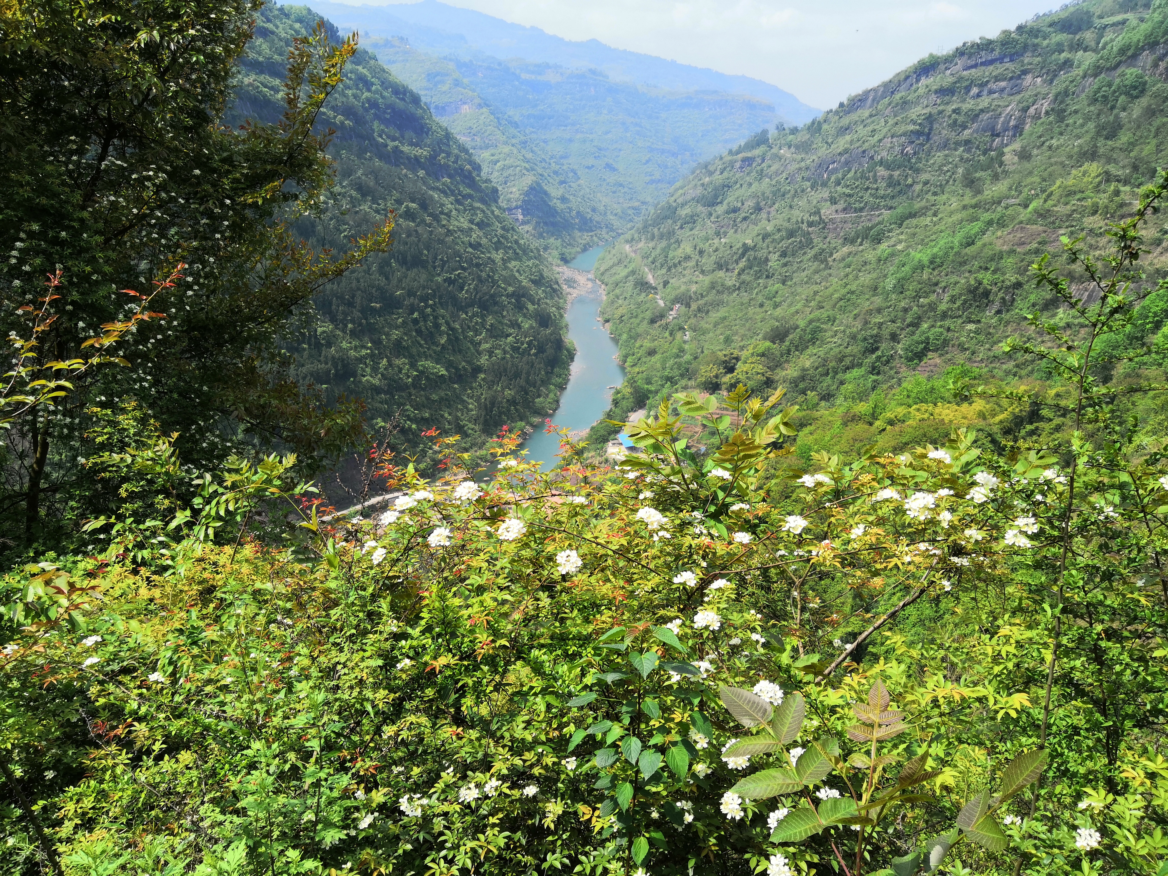 奉节县石岗乡一个山清水秀人杰地灵的地方，春天景色正美