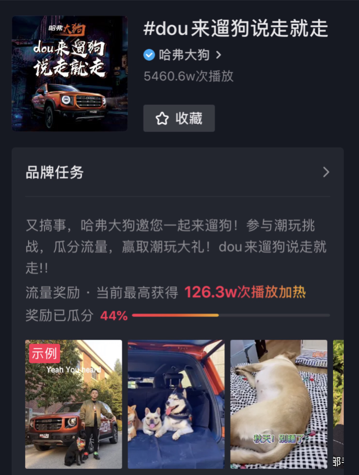 官宣：中国新说唱2020总冠军李佳隆出任哈弗大狗潮创主理人