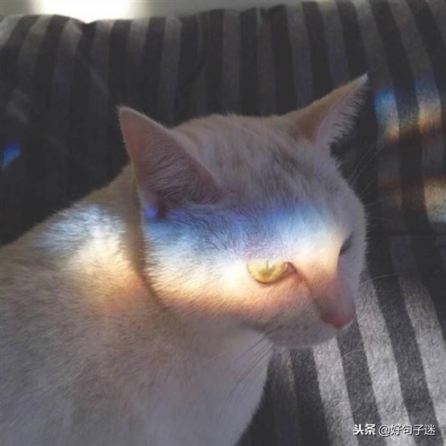 我很想你的句子发朋友圈 抖音里表达思念的句子图片